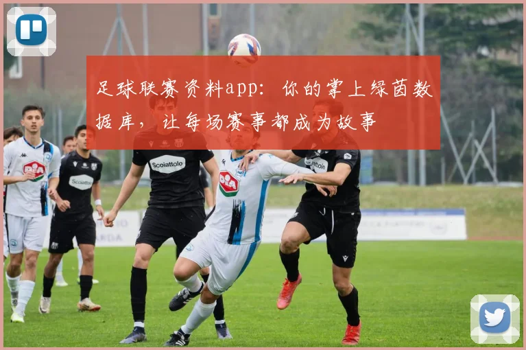 足球联赛资料app：你的掌上绿茵数据库，让每场赛事都成为故事