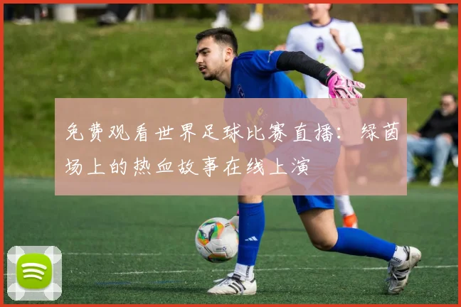 免费观看世界足球比赛直播:绿茵场上的热血故事在线上演