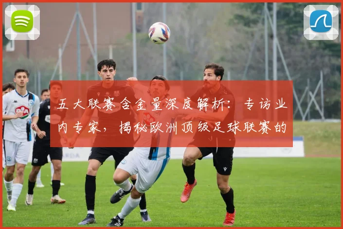 五大联赛含金量深度解析：专访业内专家，揭秘欧洲顶级足球联赛的真正价值