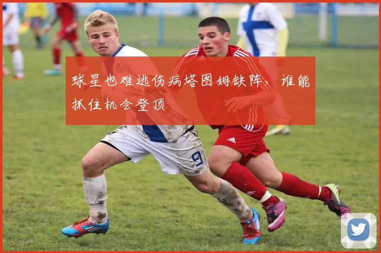 球星也难逃伤病塔图姆缺阵，谁能抓住机会登顶
